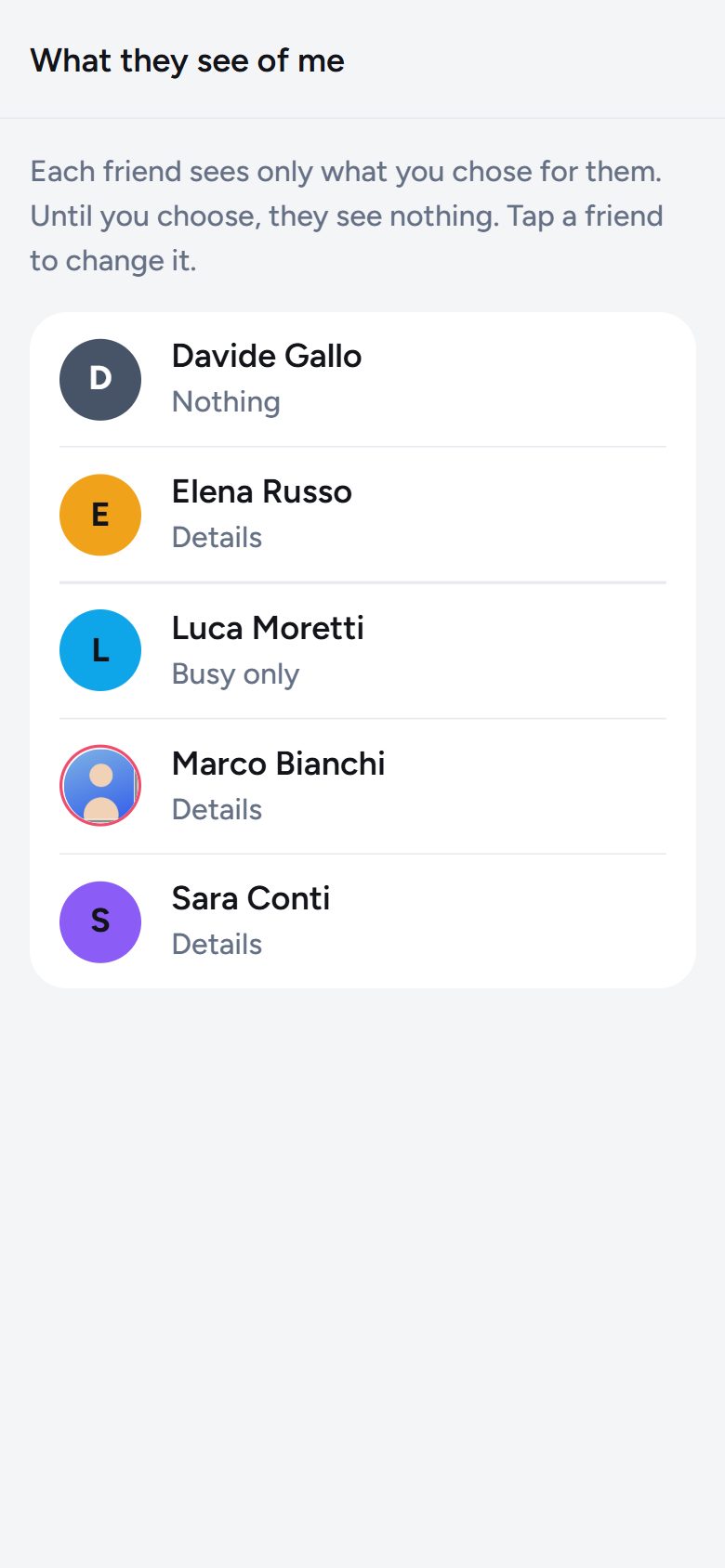 List of friends with what each one sees: nothing, busy only or details.